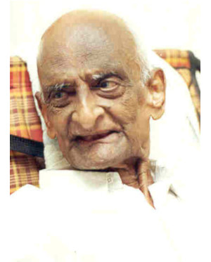 சிட்டி