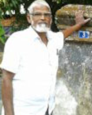 எஸ்.எல்.எம். ஹனீபா